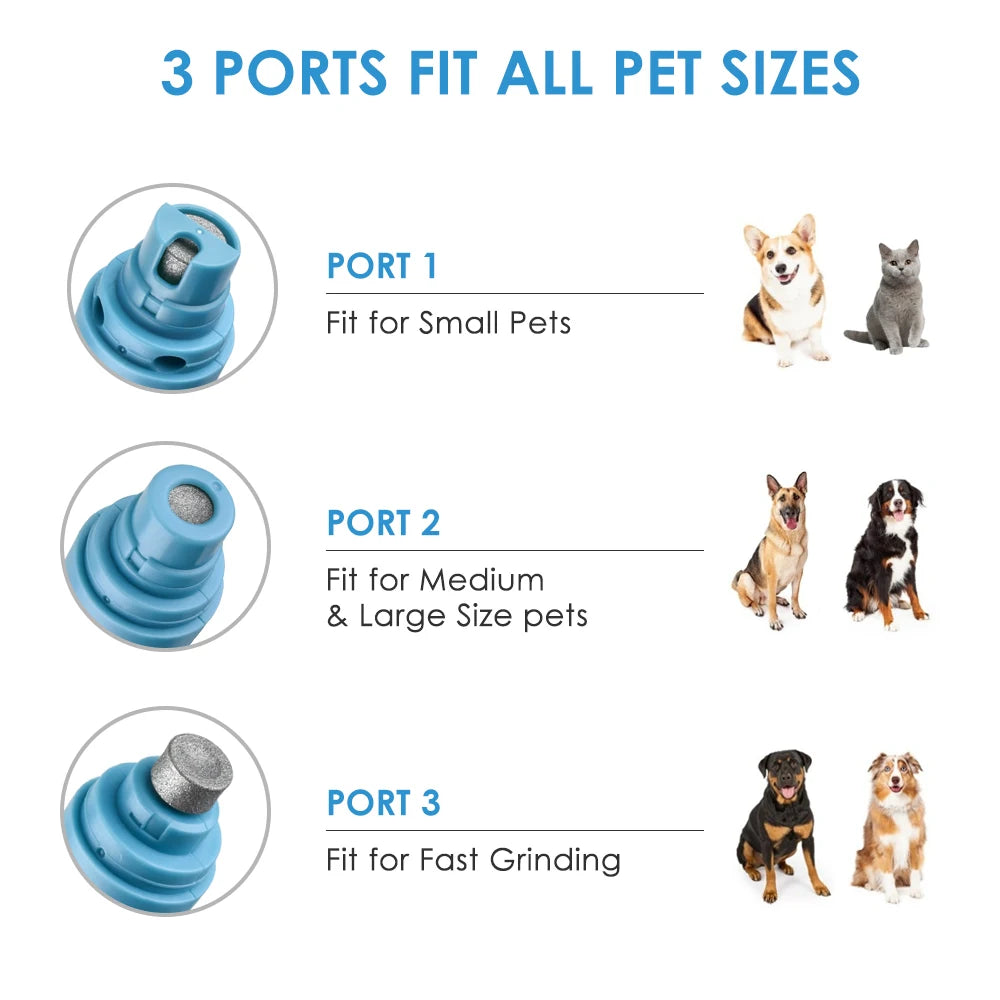 Pet Nail Grinder Rechargeable USB Dog Nail Clippers Painless Electric Cat Paws Nail Cutter Grooming Trimmer Tools Scissors File